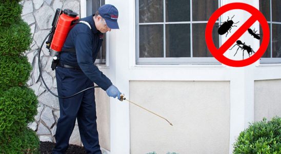Suşehri Akrep İlaçlama böcek ilaçlama ve haşere kontrolü — ilaclama-tr.com